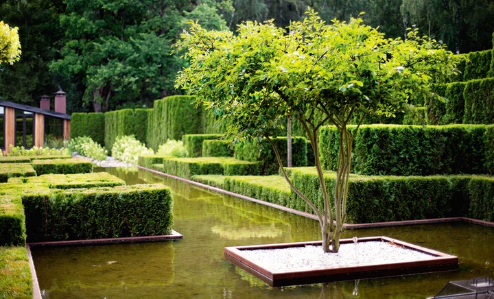 Сад ольги платоновой фото